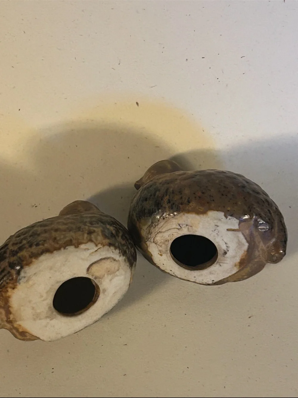 N/A charming pair